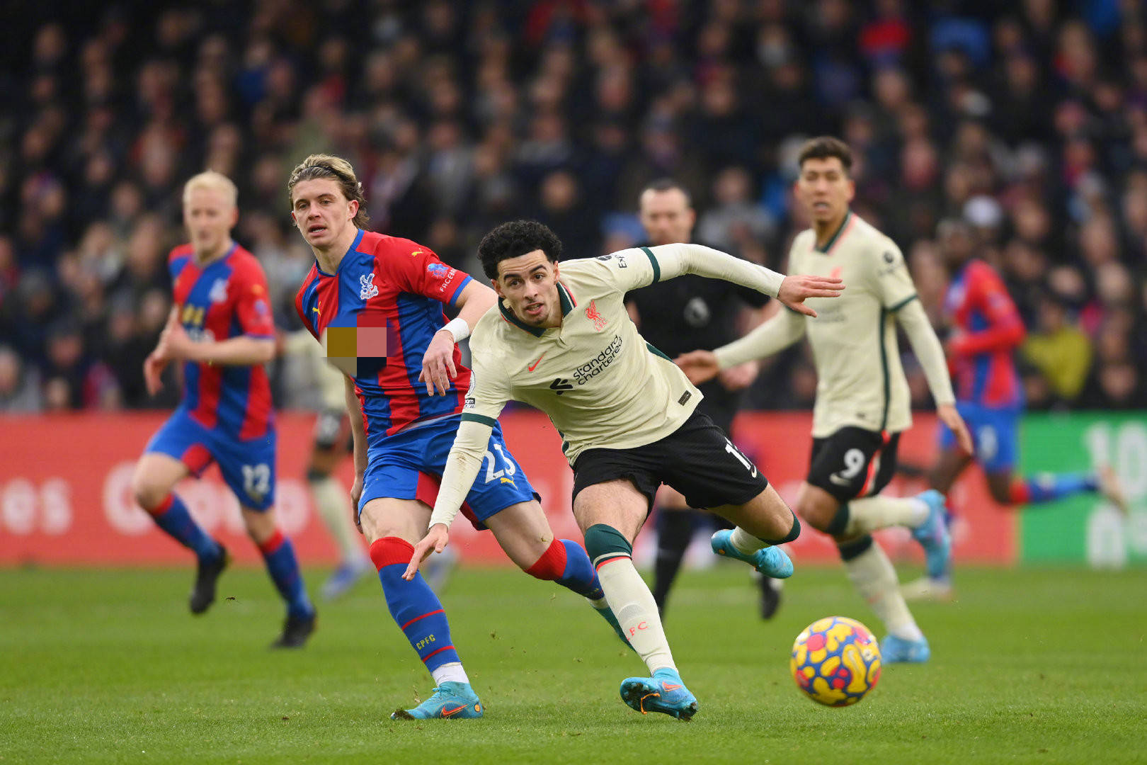 篮球的纯粹 篮球的纯粹