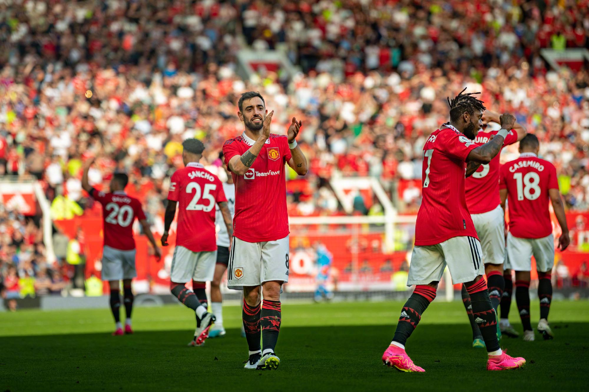 无疑证明了 无疑证明了